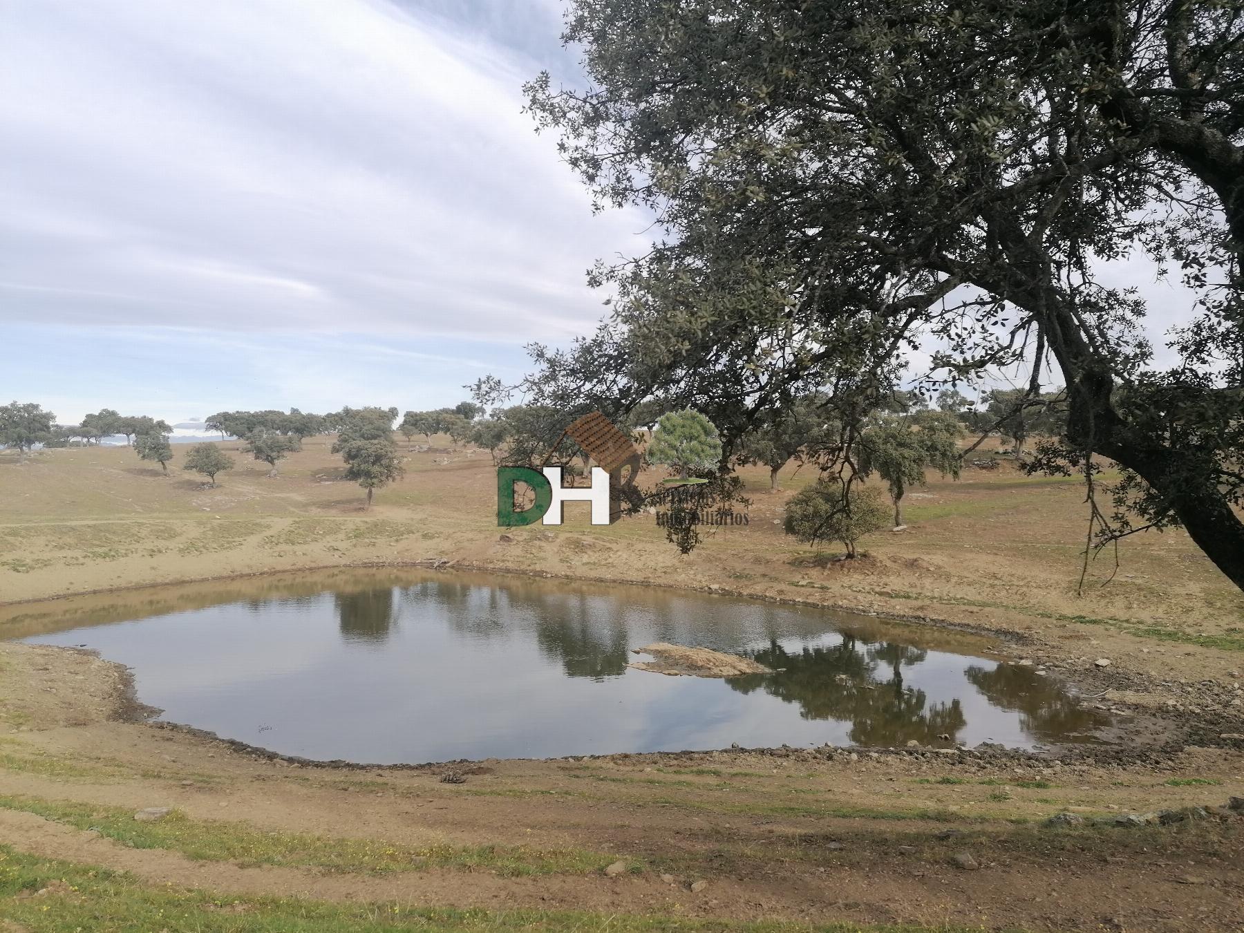 Venta de terreno en Cáceres