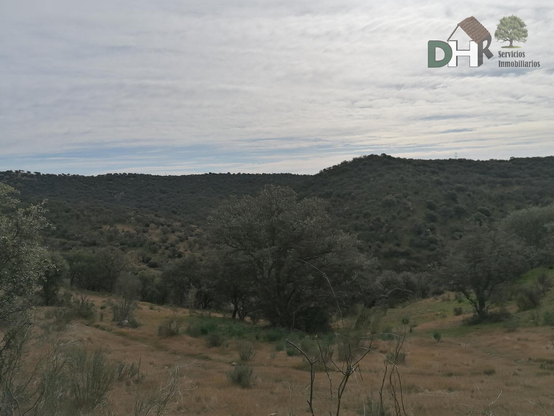 Venta de terreno en Cáceres