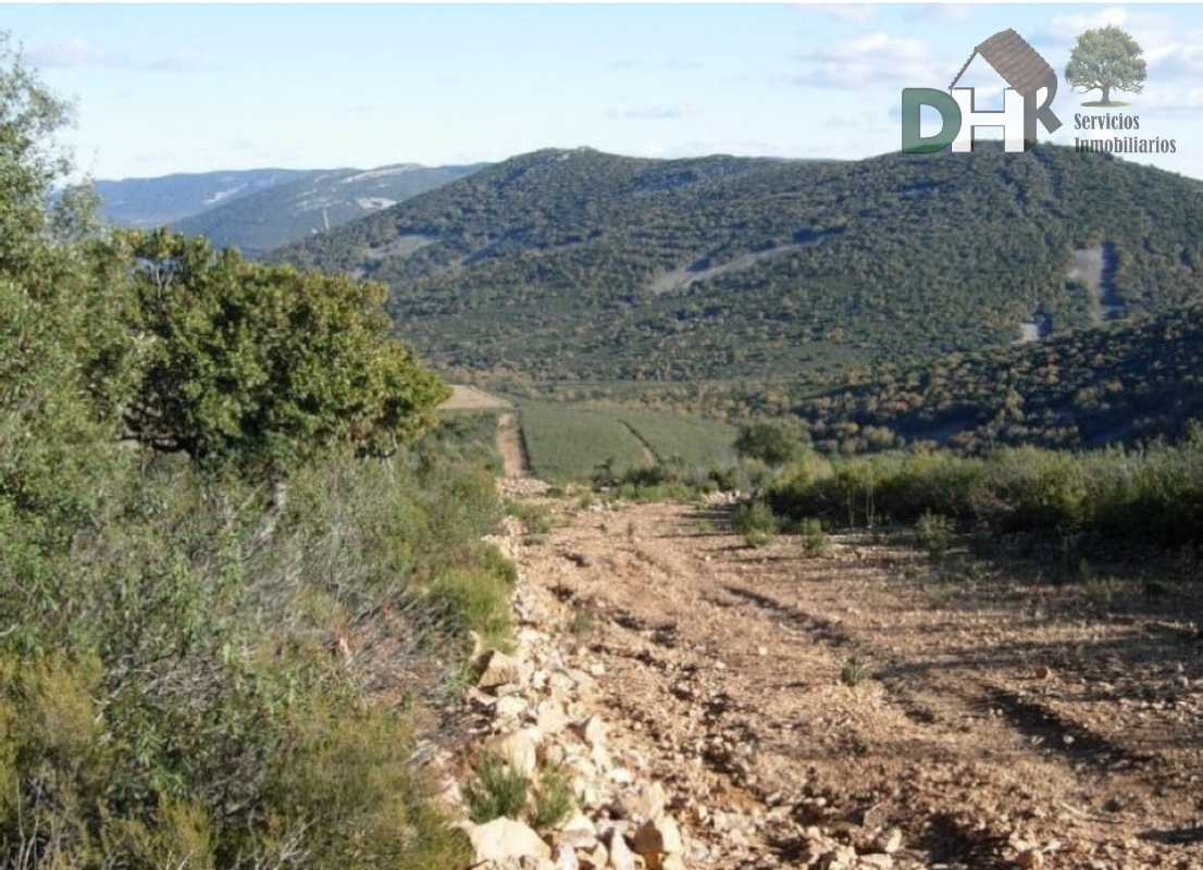 For sale of land in Ciudad Real