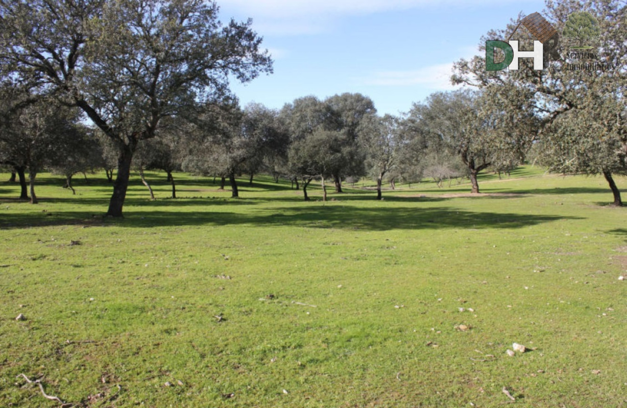 For sale of land in Cáceres