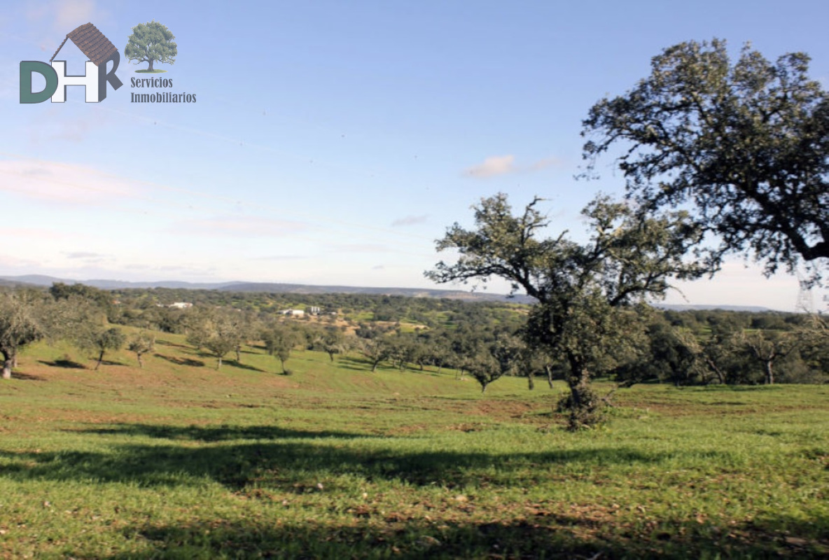 For sale of land in Cáceres