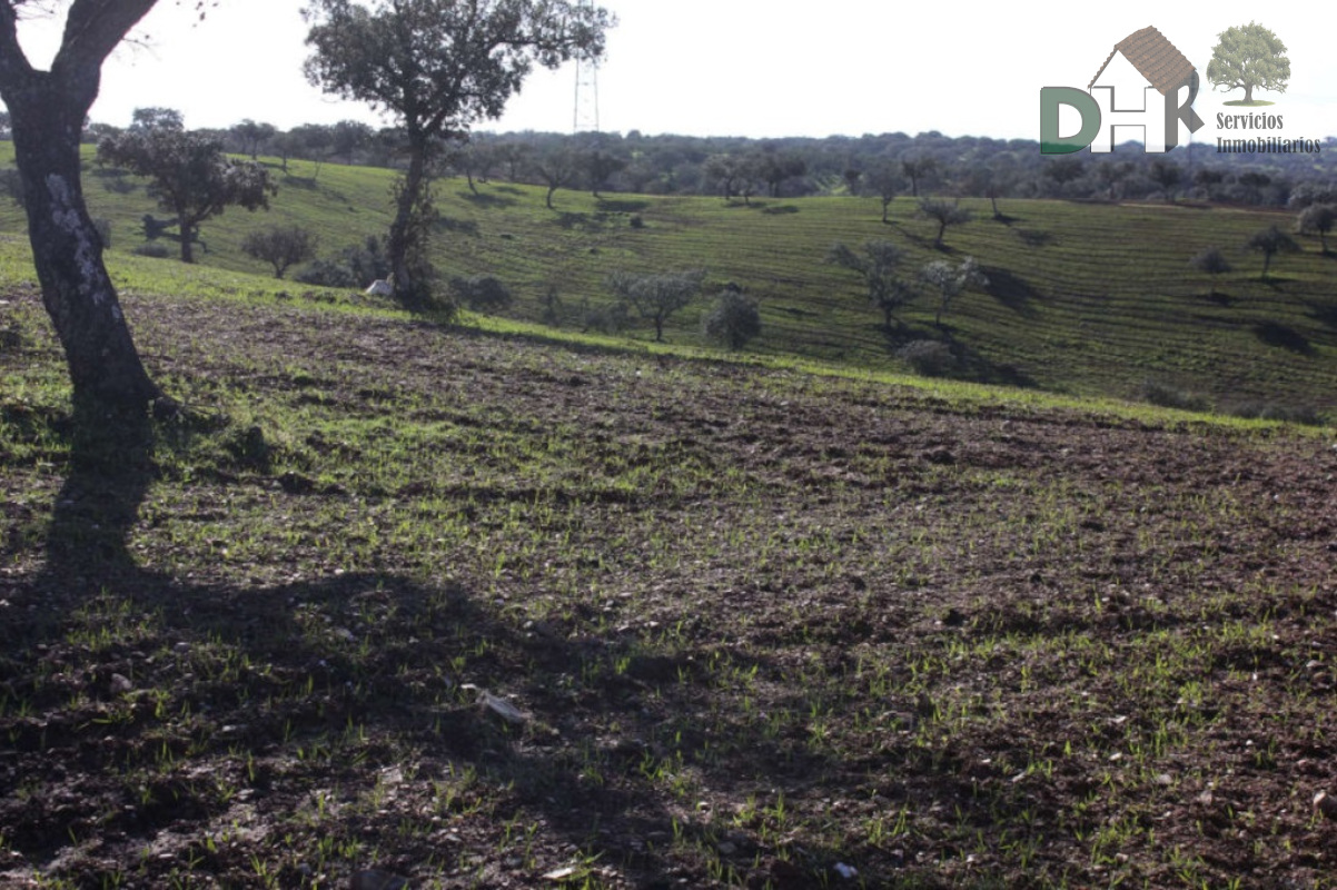 For sale of land in Cáceres