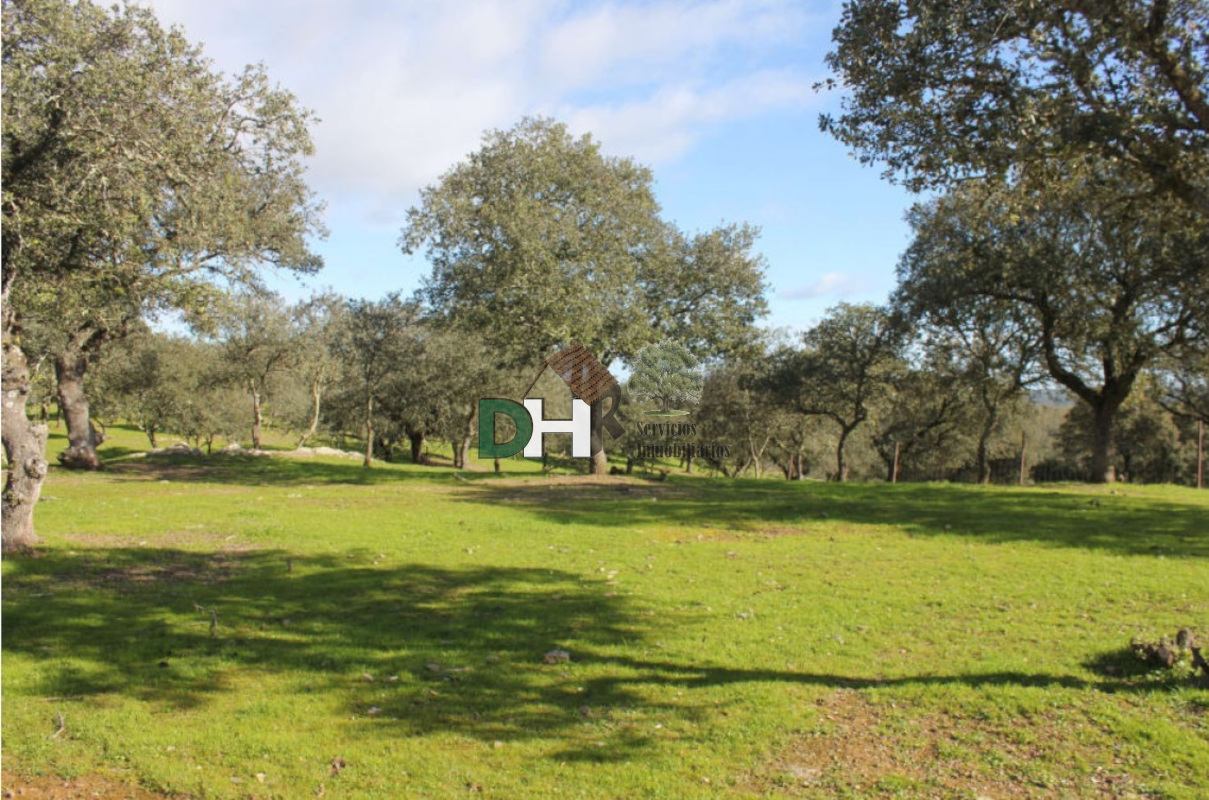 Venta de terreno en Cáceres