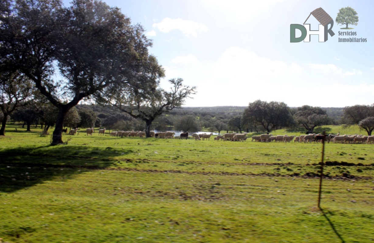 Venta de terreno en Cáceres