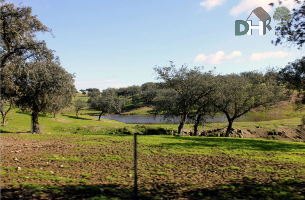 Venta de terreno en Cáceres