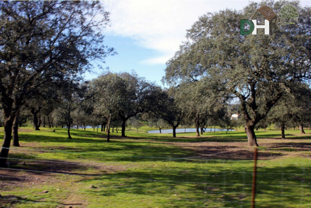 For sale of land in Cáceres