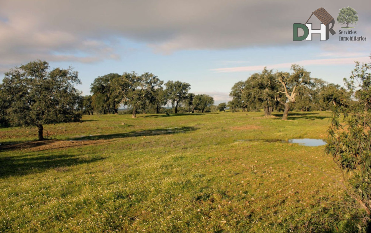 Venta de terreno en Cáceres