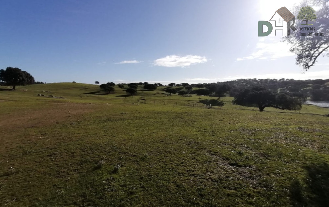 For sale of land in Cáceres