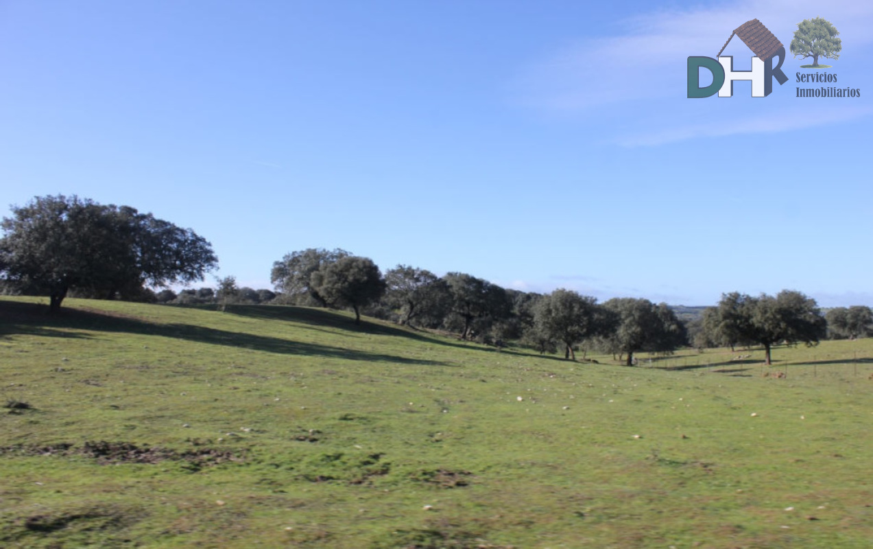 Venta de terreno en Cáceres