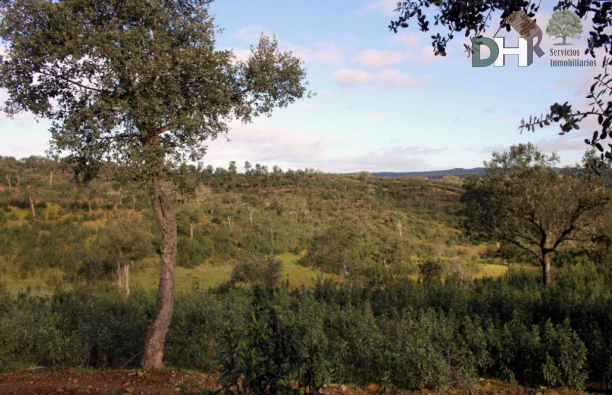 Venta de terreno en Cáceres