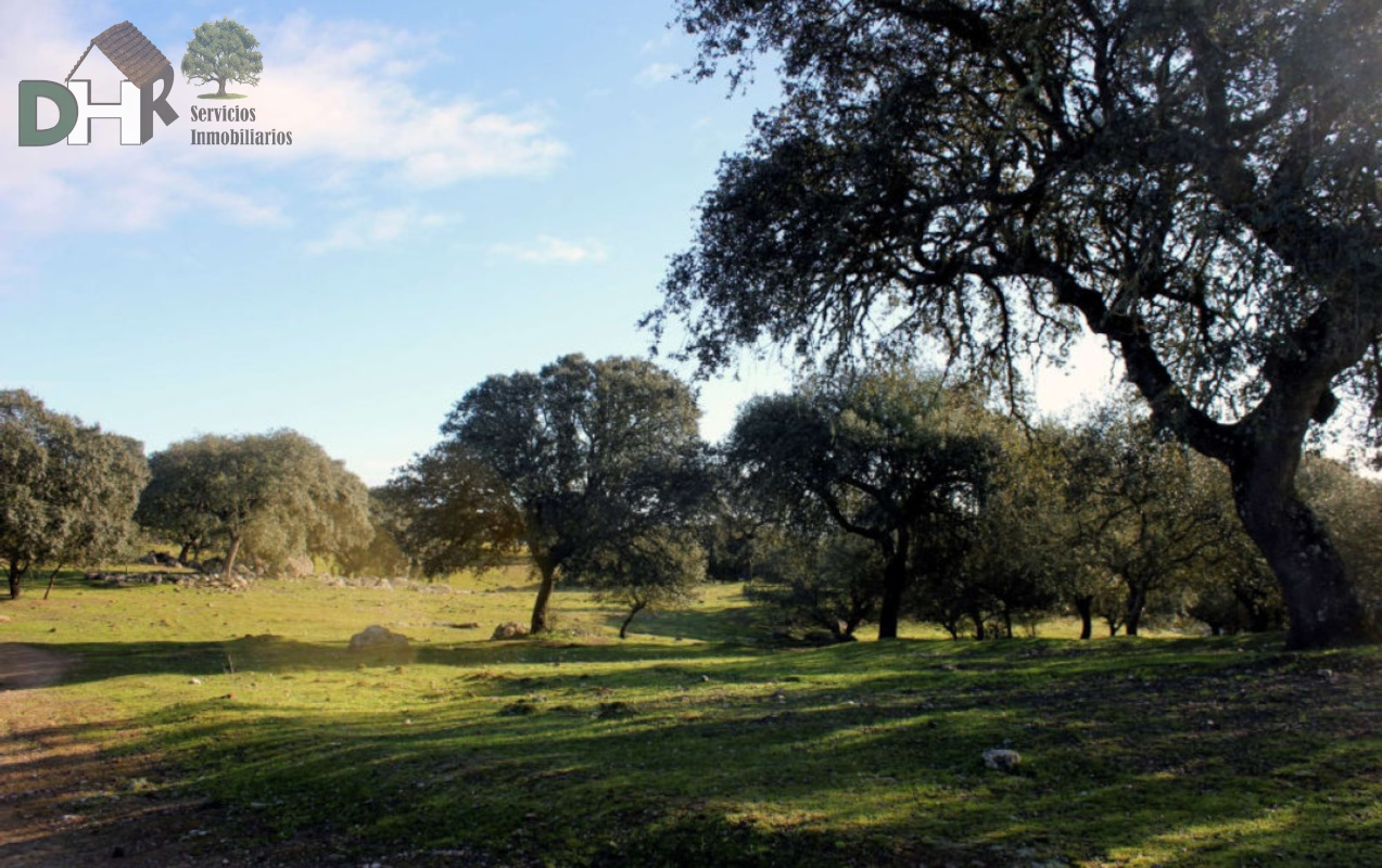 For sale of land in Cáceres