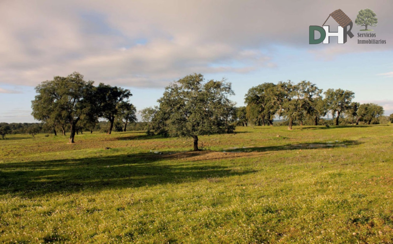 Venta de terreno en Cáceres