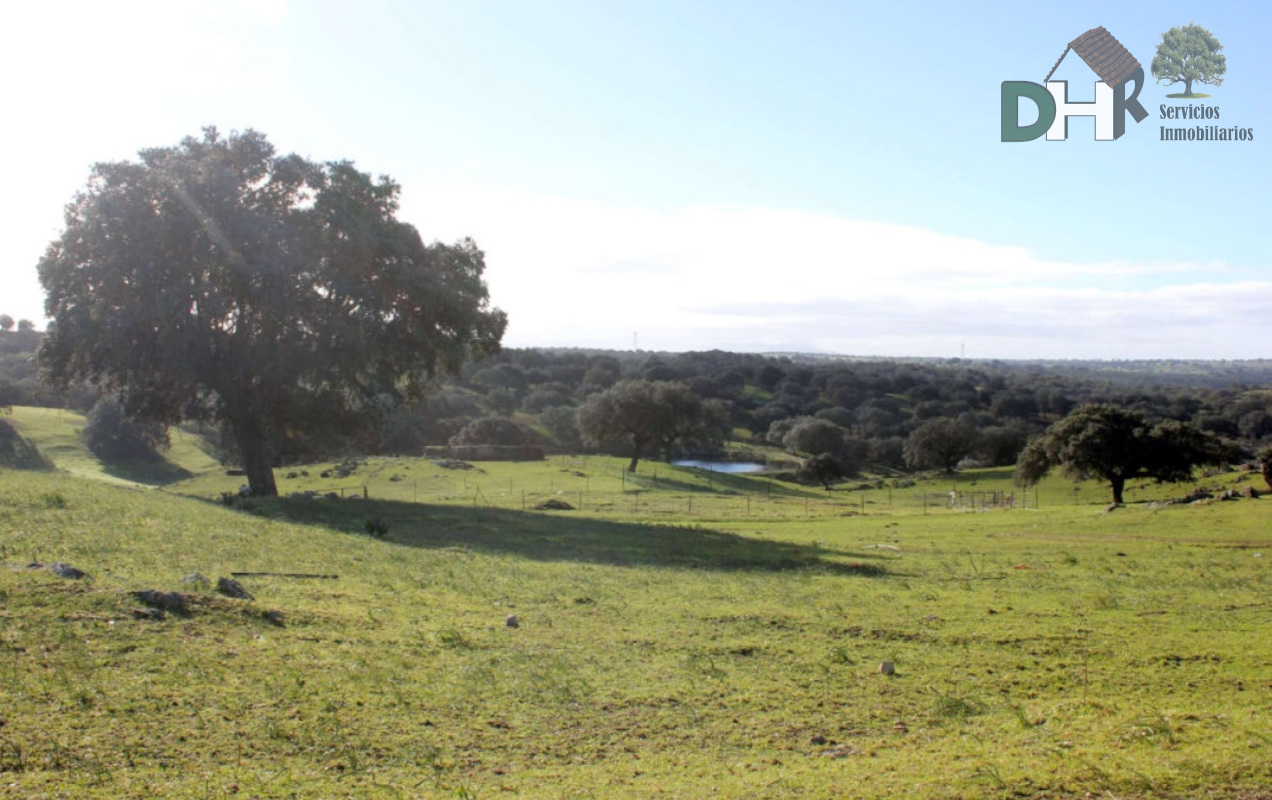 For sale of land in Cáceres