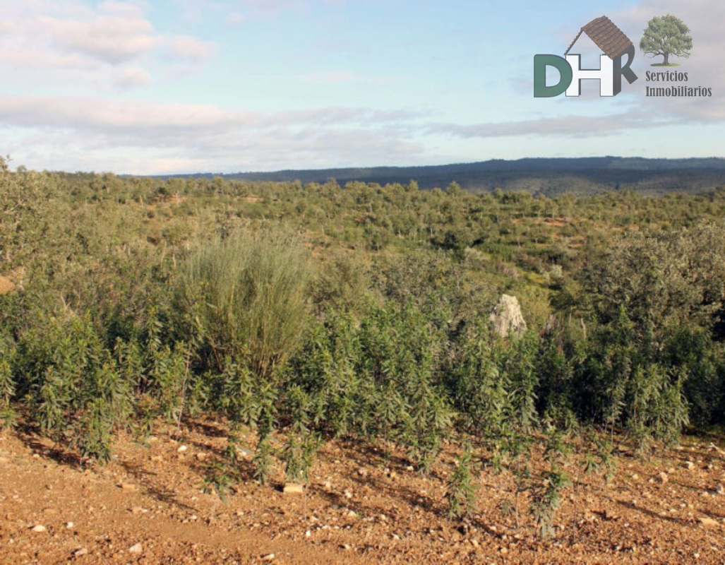 For sale of land in Cáceres