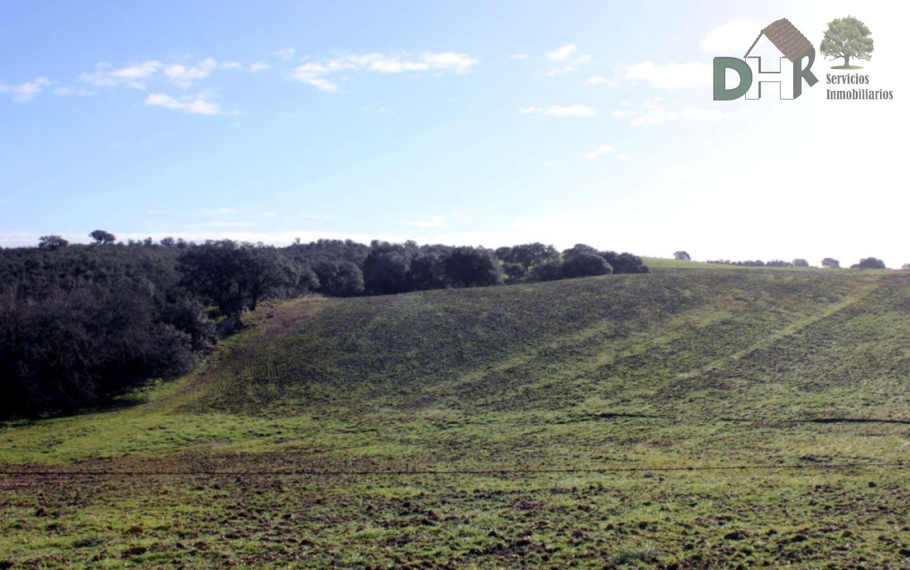 Venta de terreno en Cáceres