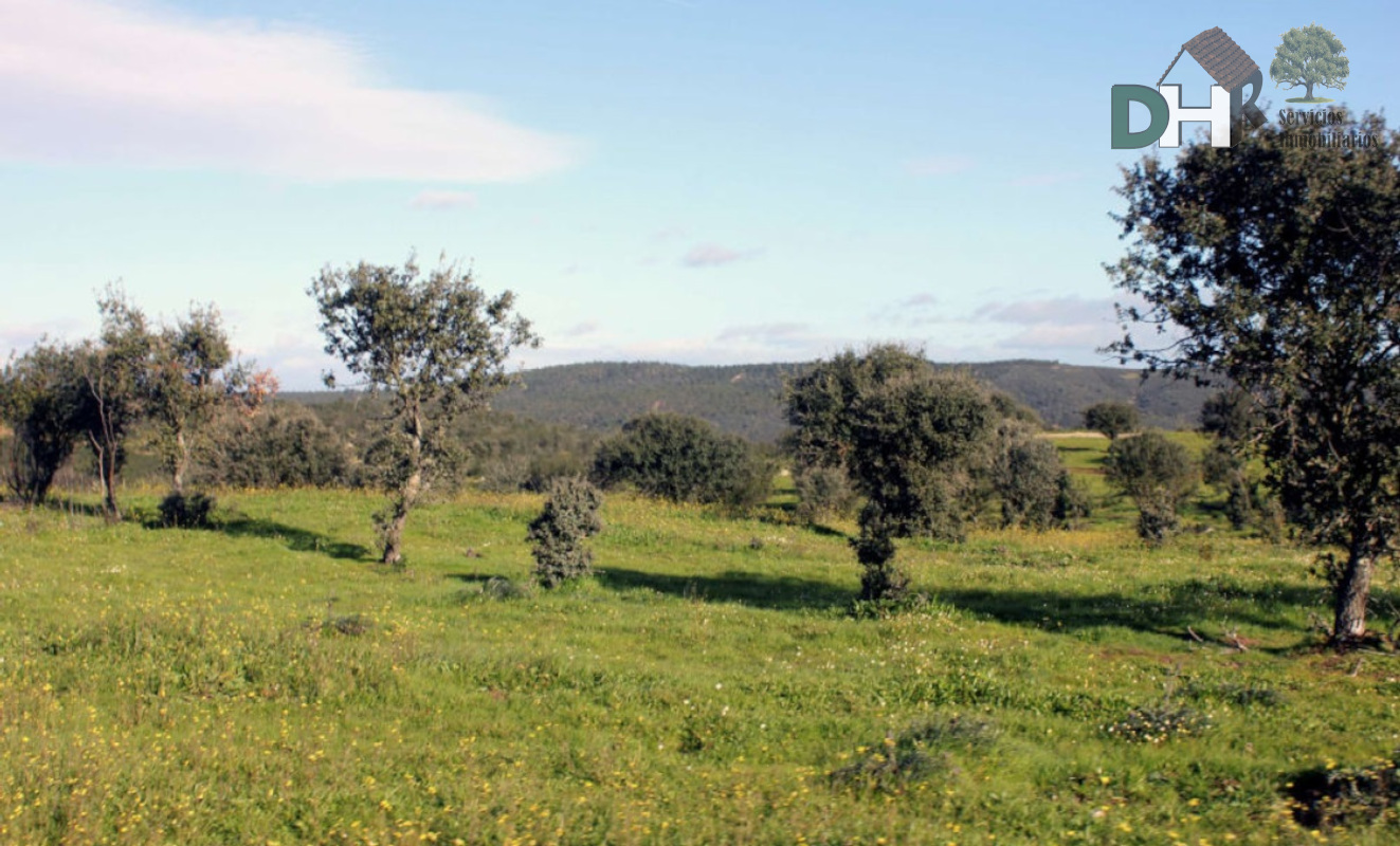 For sale of land in Cáceres