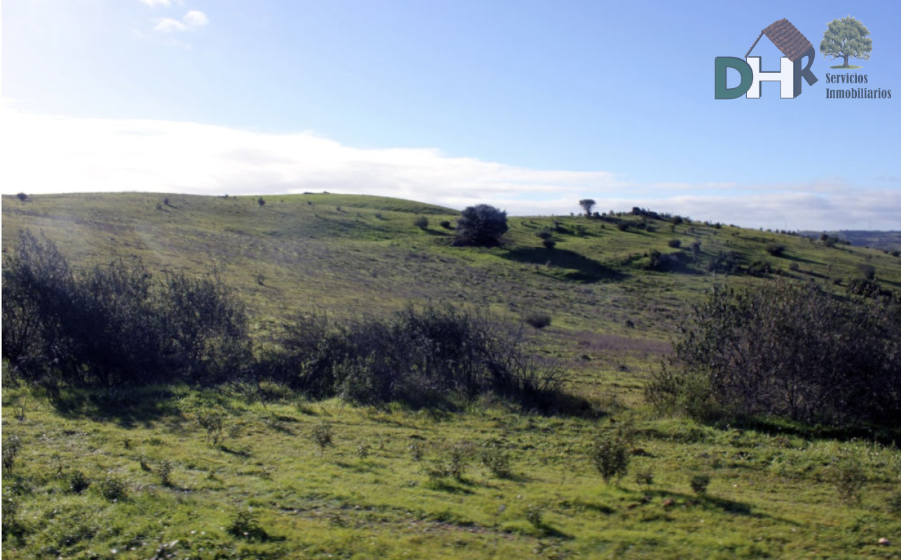 For sale of land in Cáceres