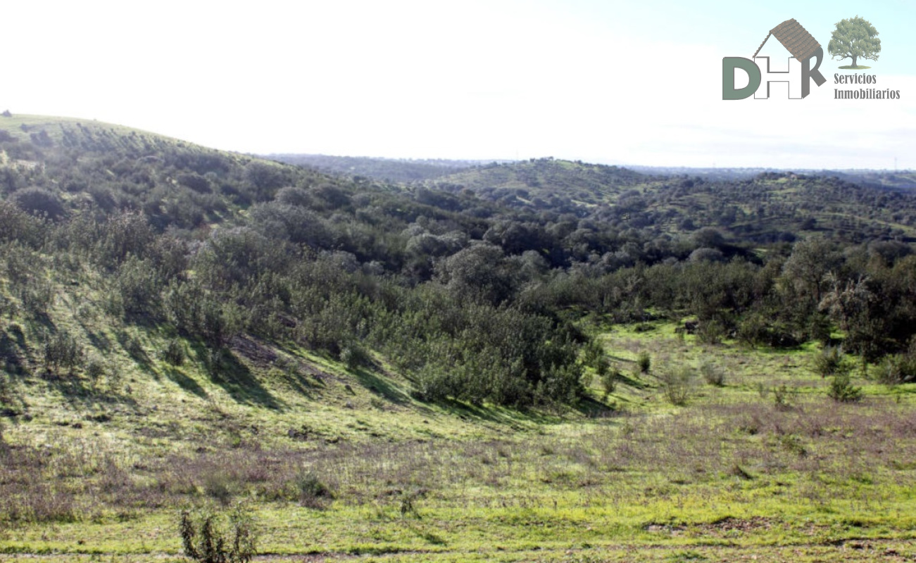 For sale of land in Cáceres