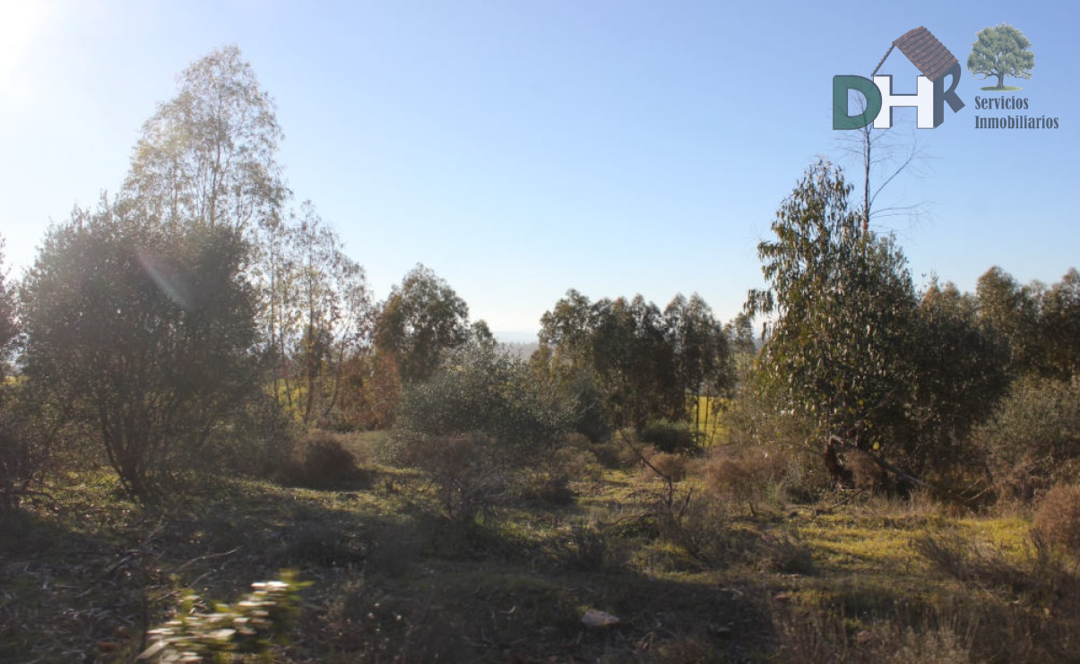 For sale of land in Badajoz