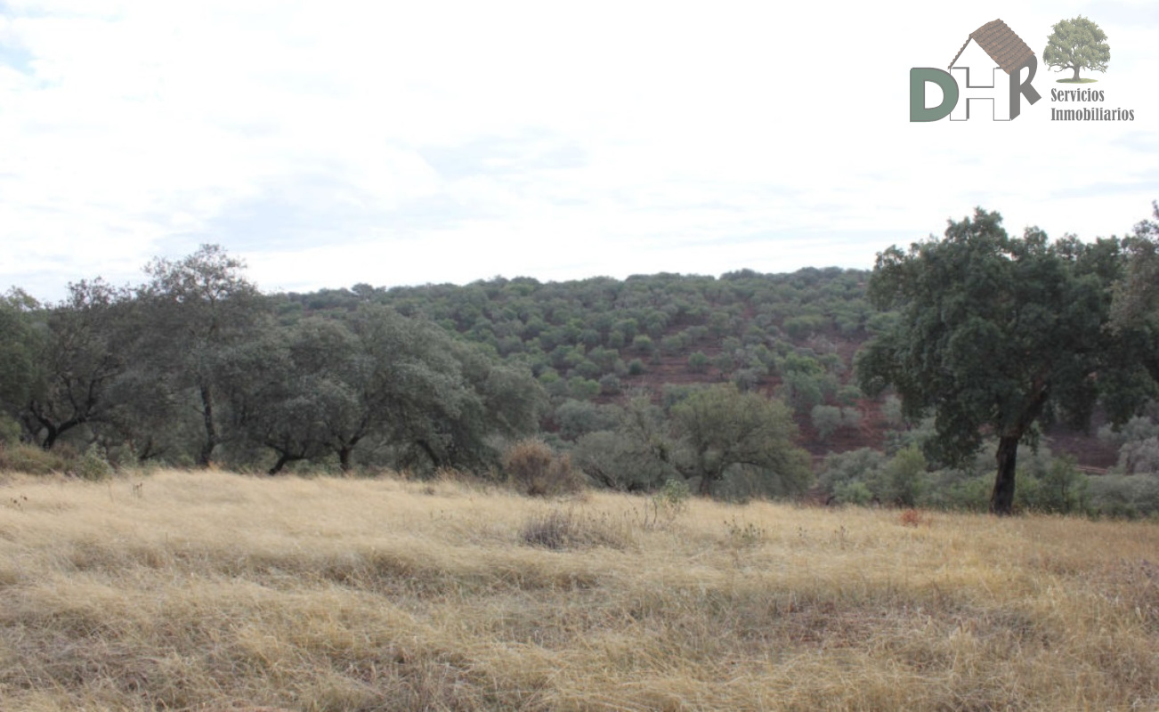 Venta de terreno en Badajoz