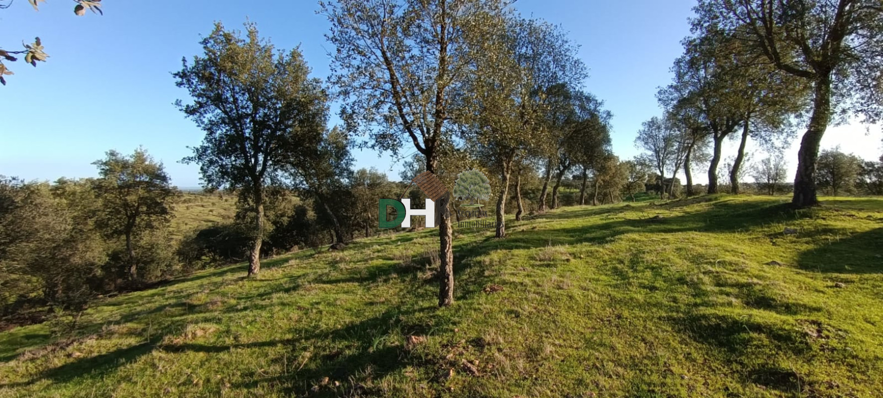 For sale of land in Huelva