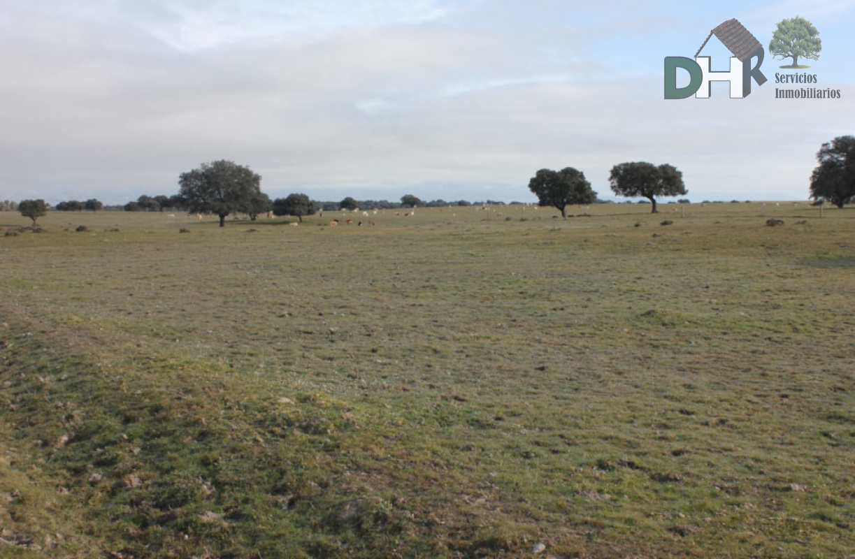 Venta de terreno en Toledo