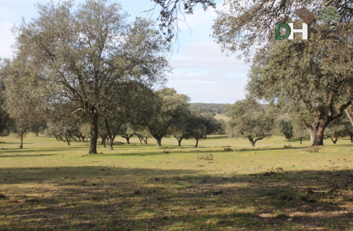 Venta de terreno en Toledo