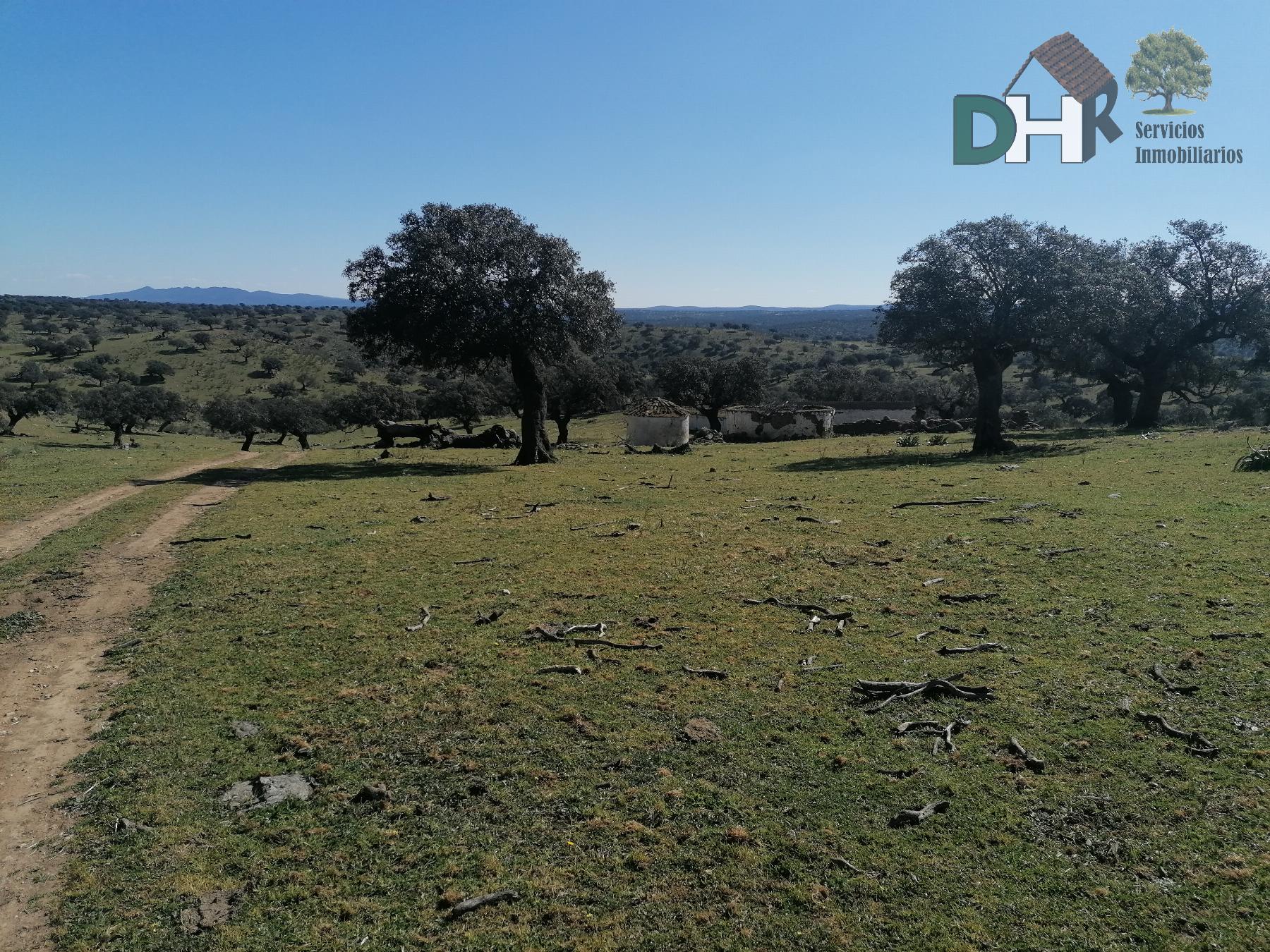 For sale of land in Cáceres