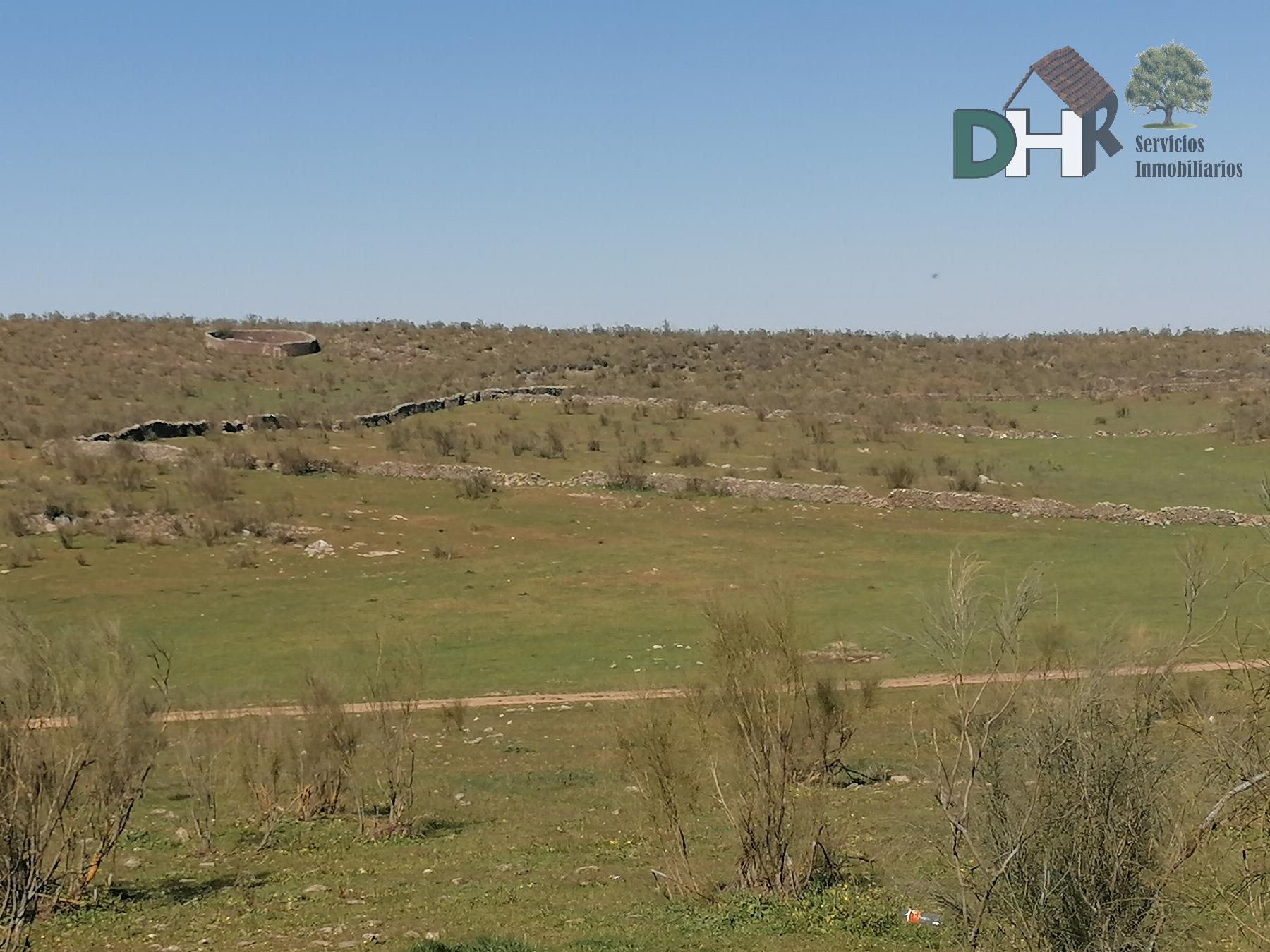 For sale of land in Cáceres