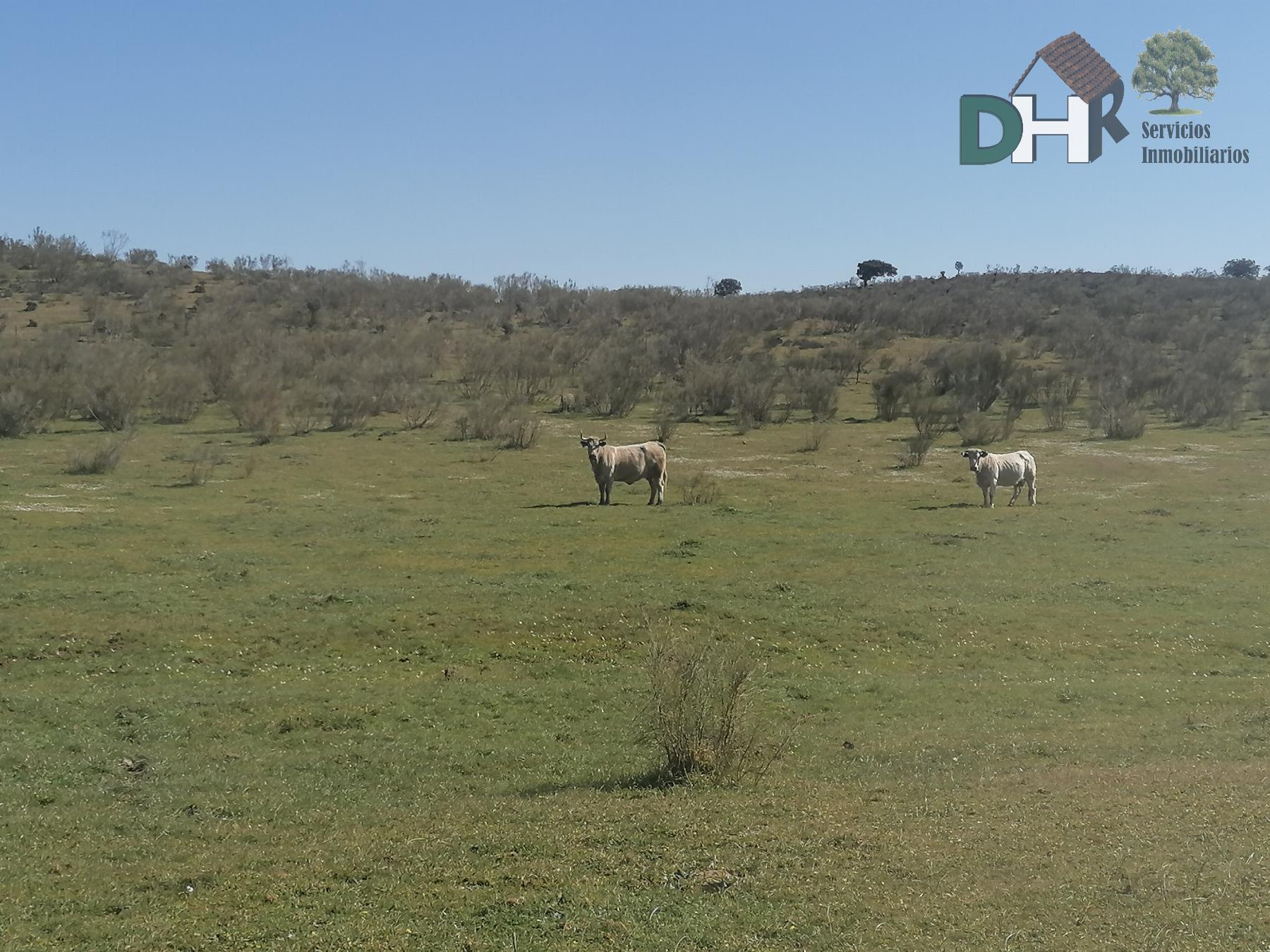 For sale of land in Cáceres