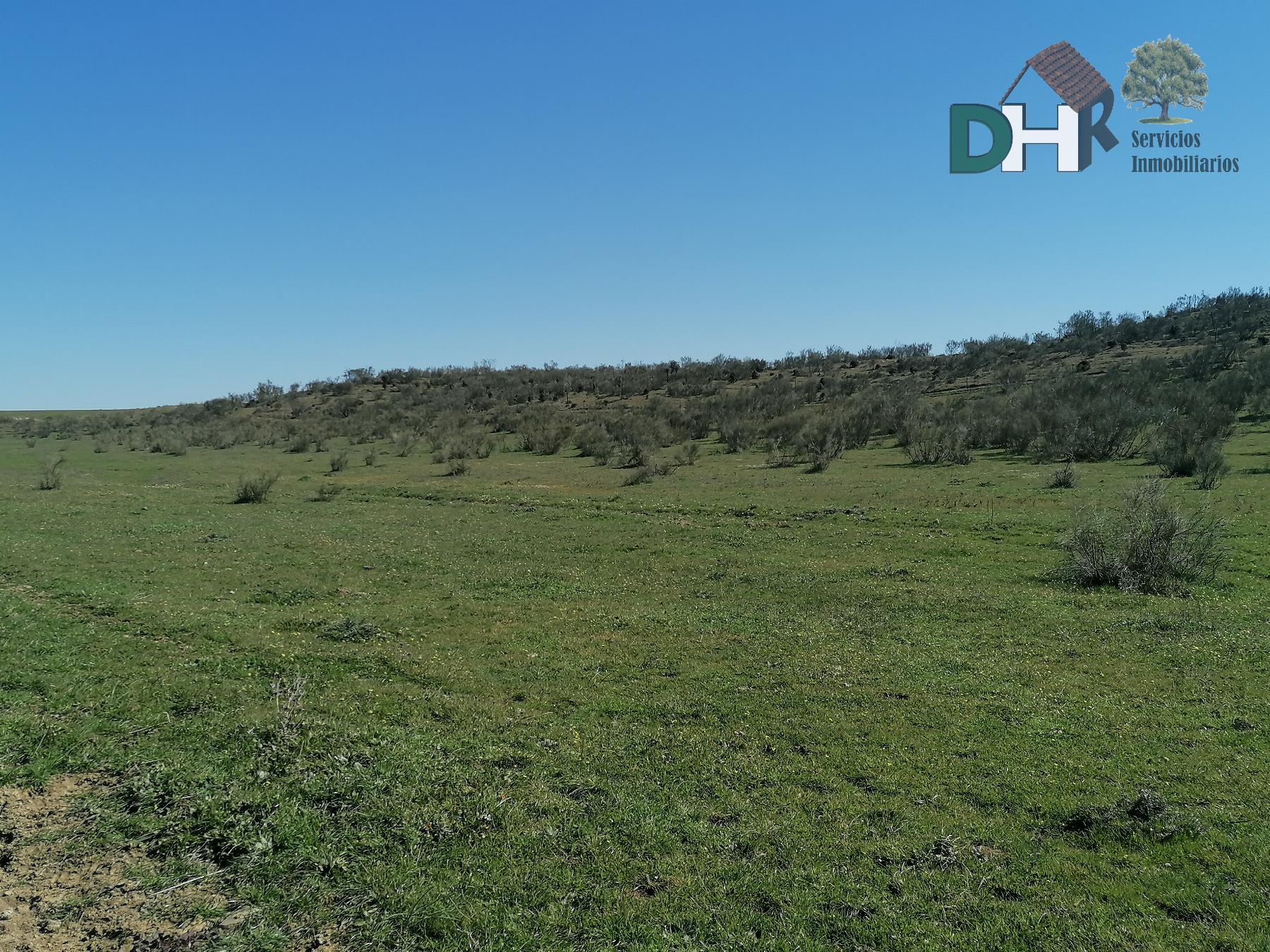 For sale of land in Cáceres