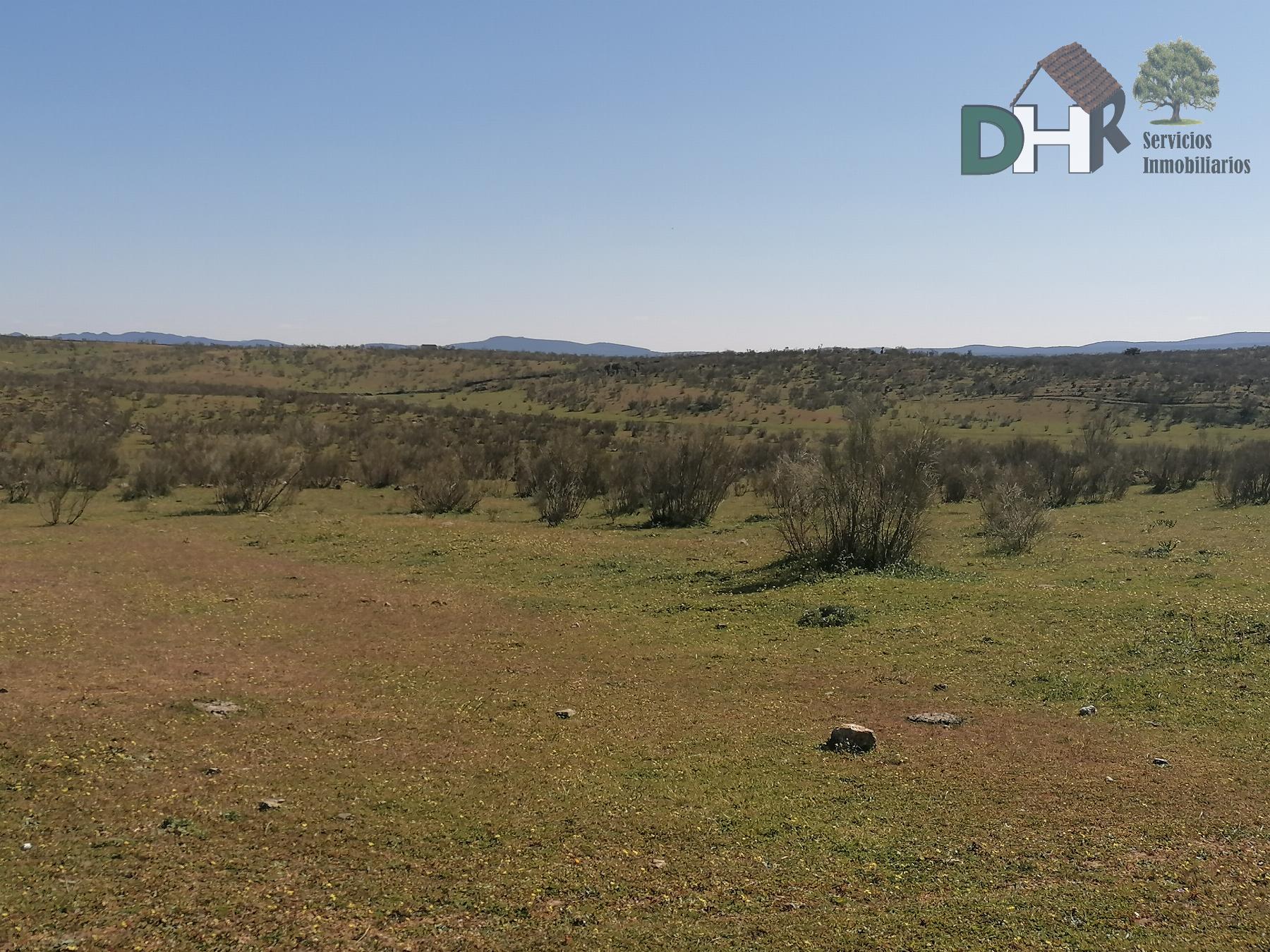 For sale of land in Cáceres