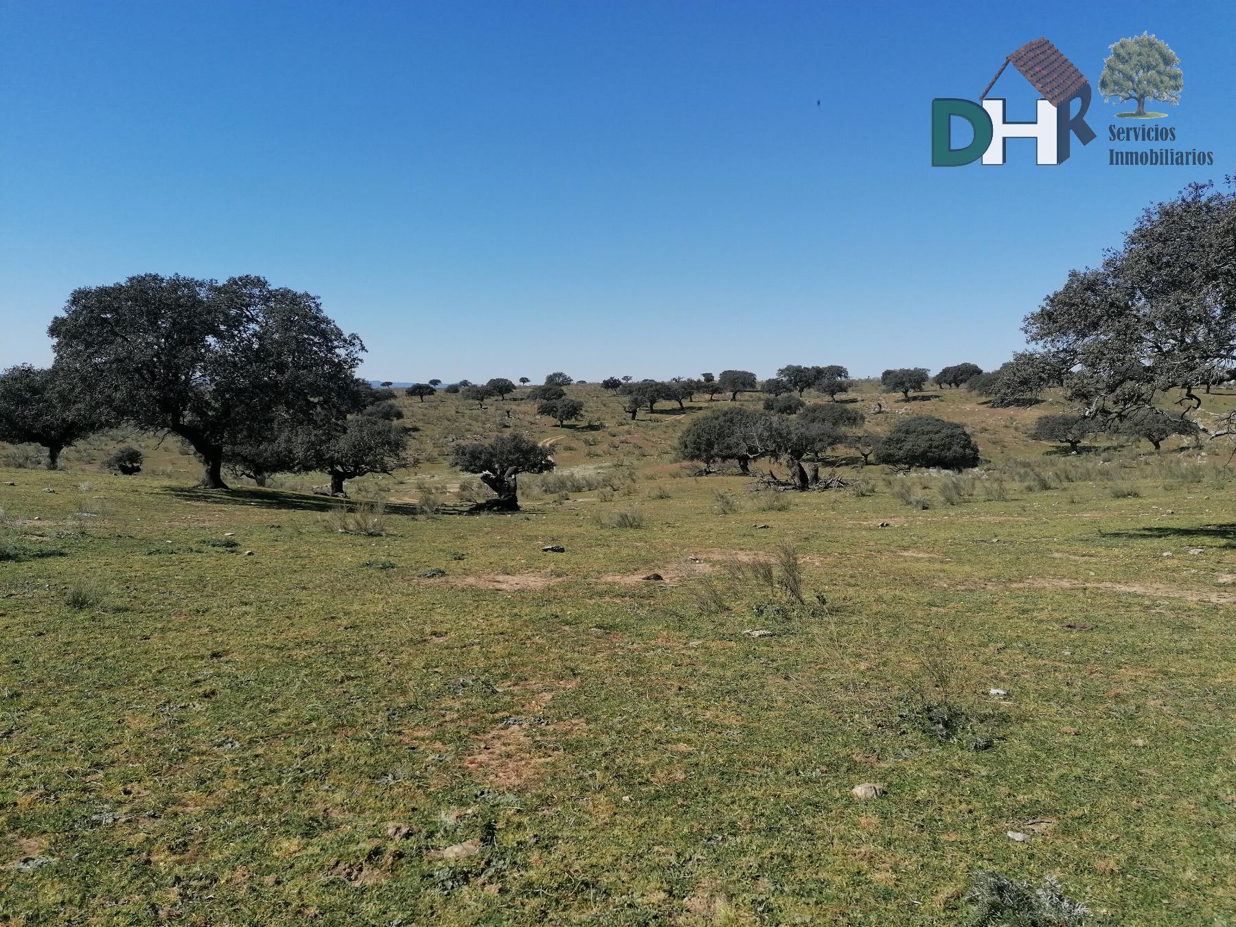 Venta de terreno en Cáceres