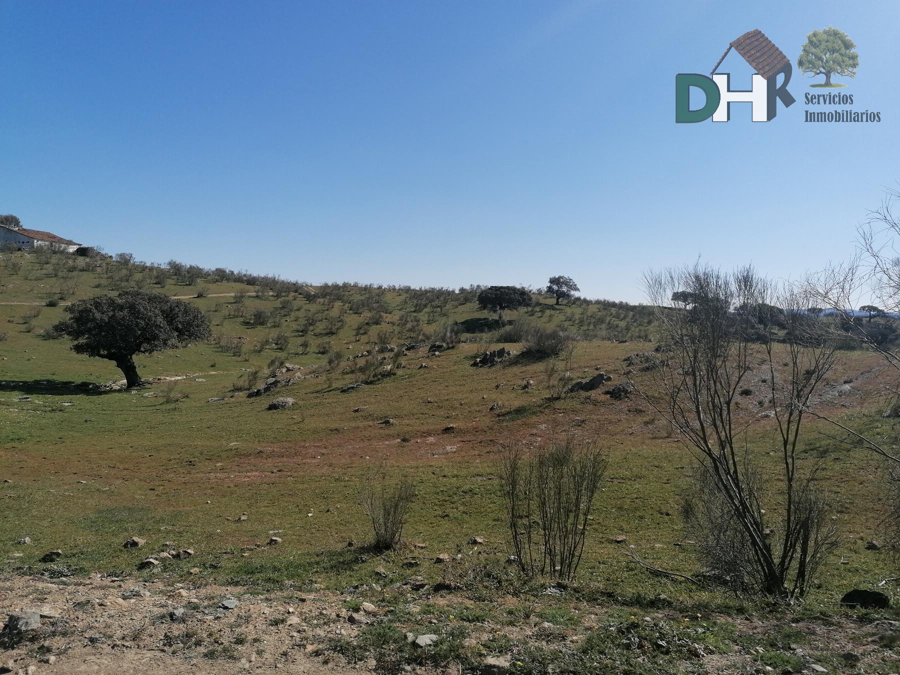 For sale of land in Cáceres