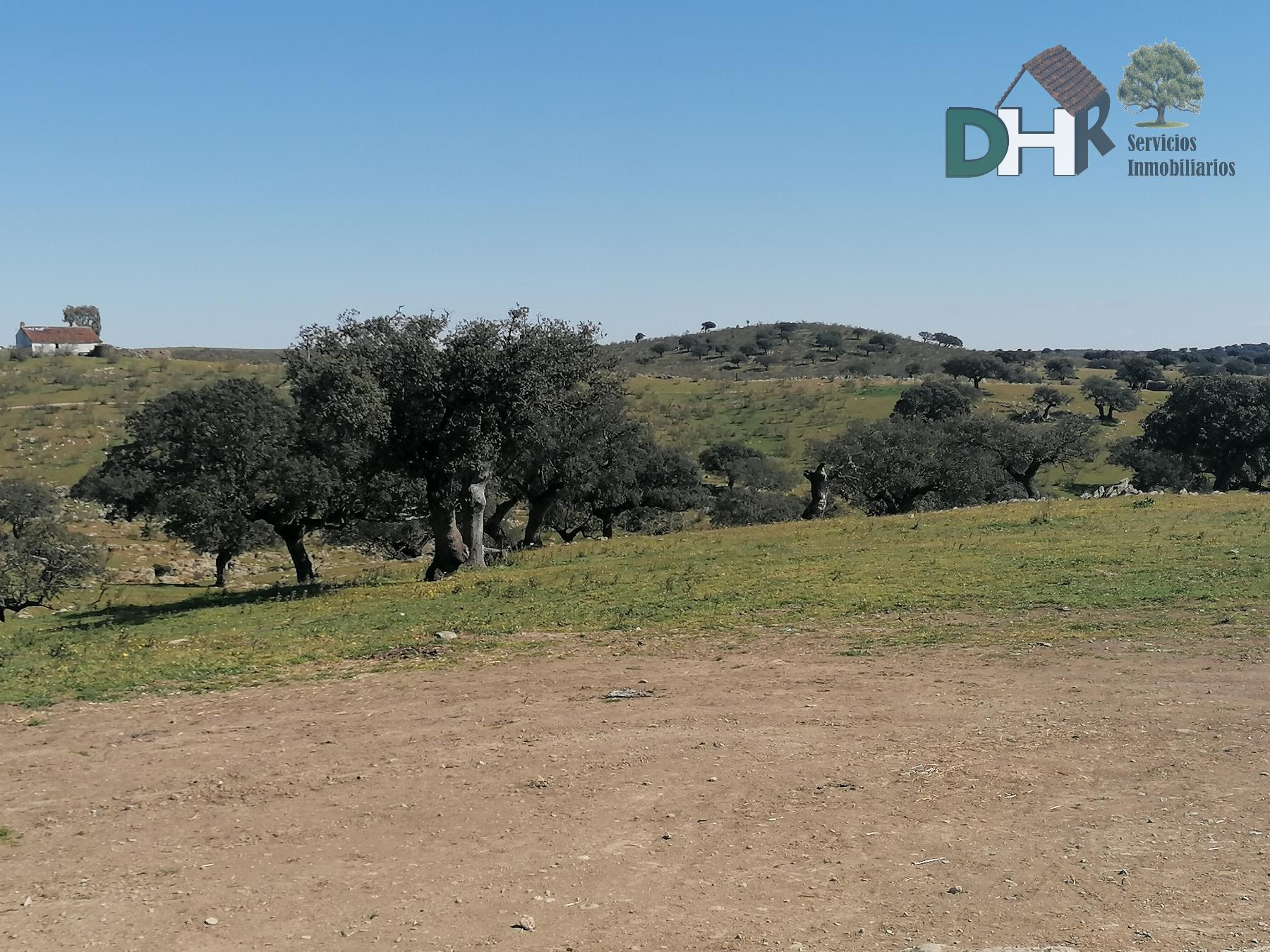 Venta de terreno en Cáceres