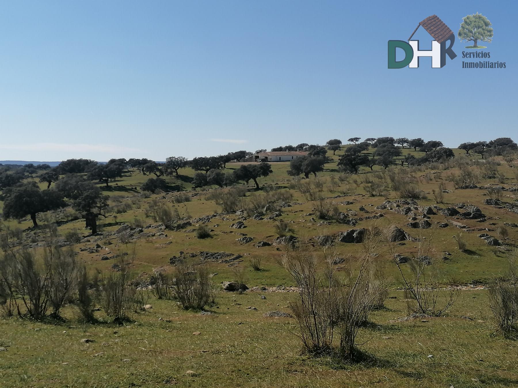 Venta de terreno en Cáceres