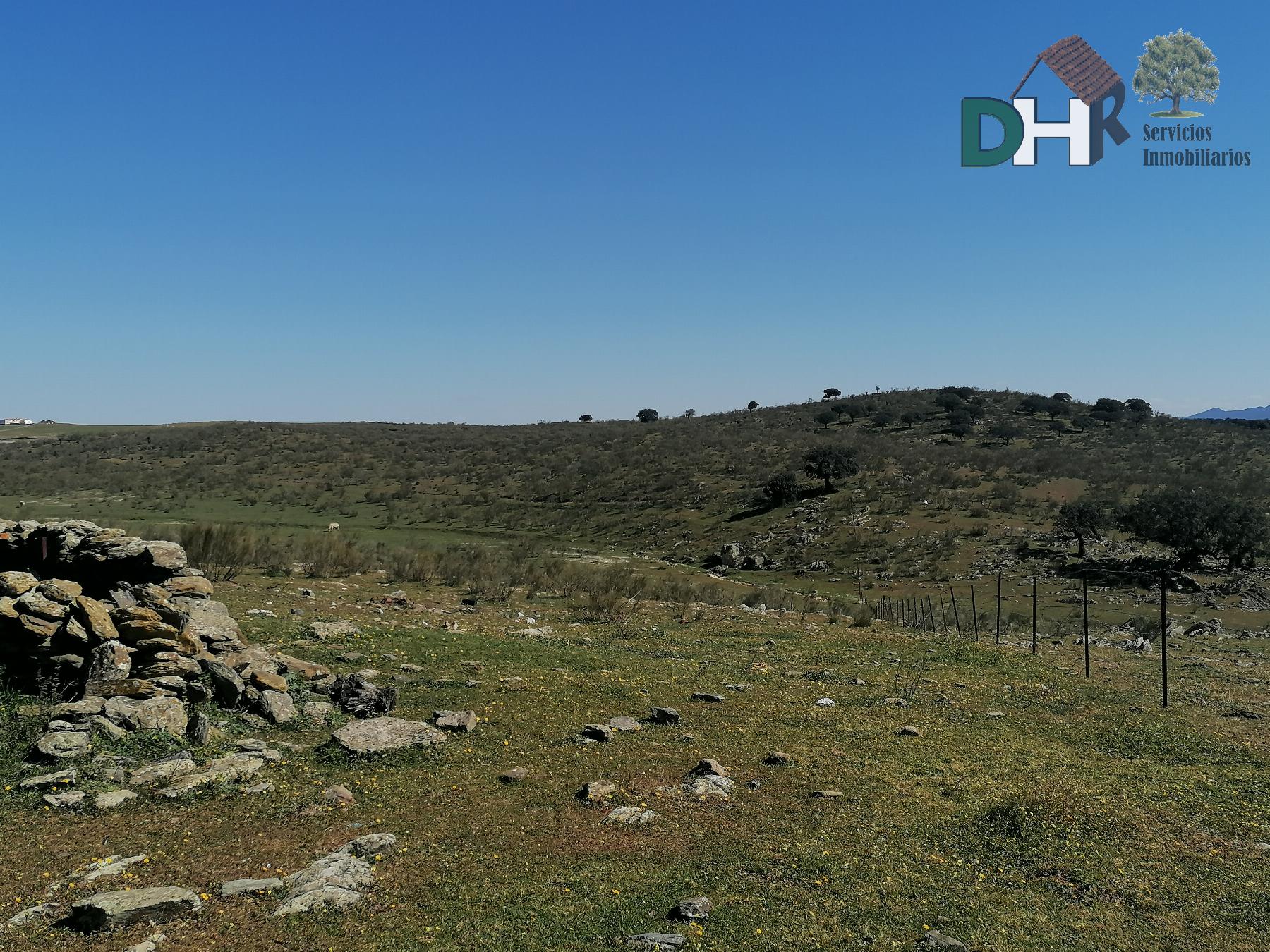 For sale of land in Cáceres