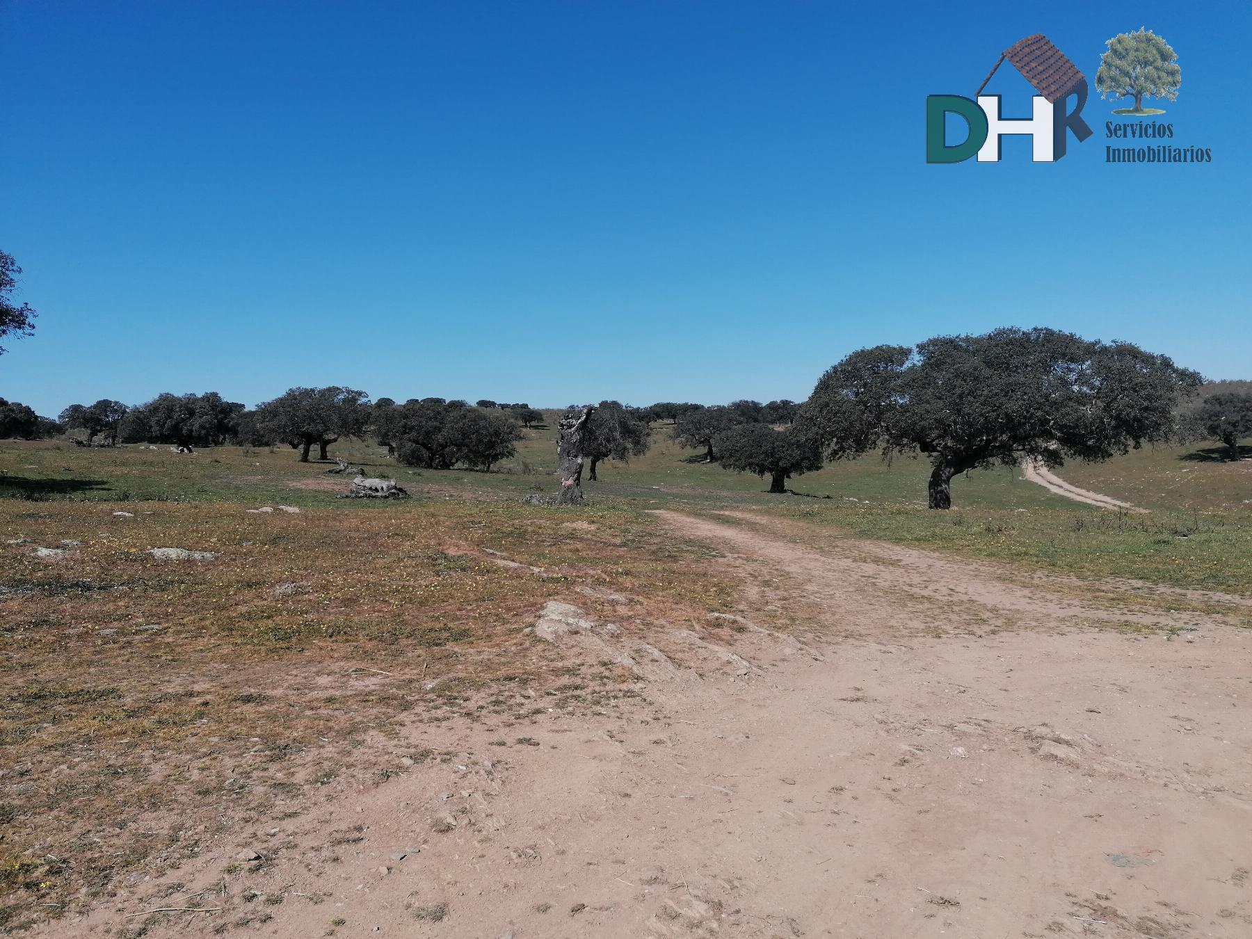 For sale of land in Cáceres