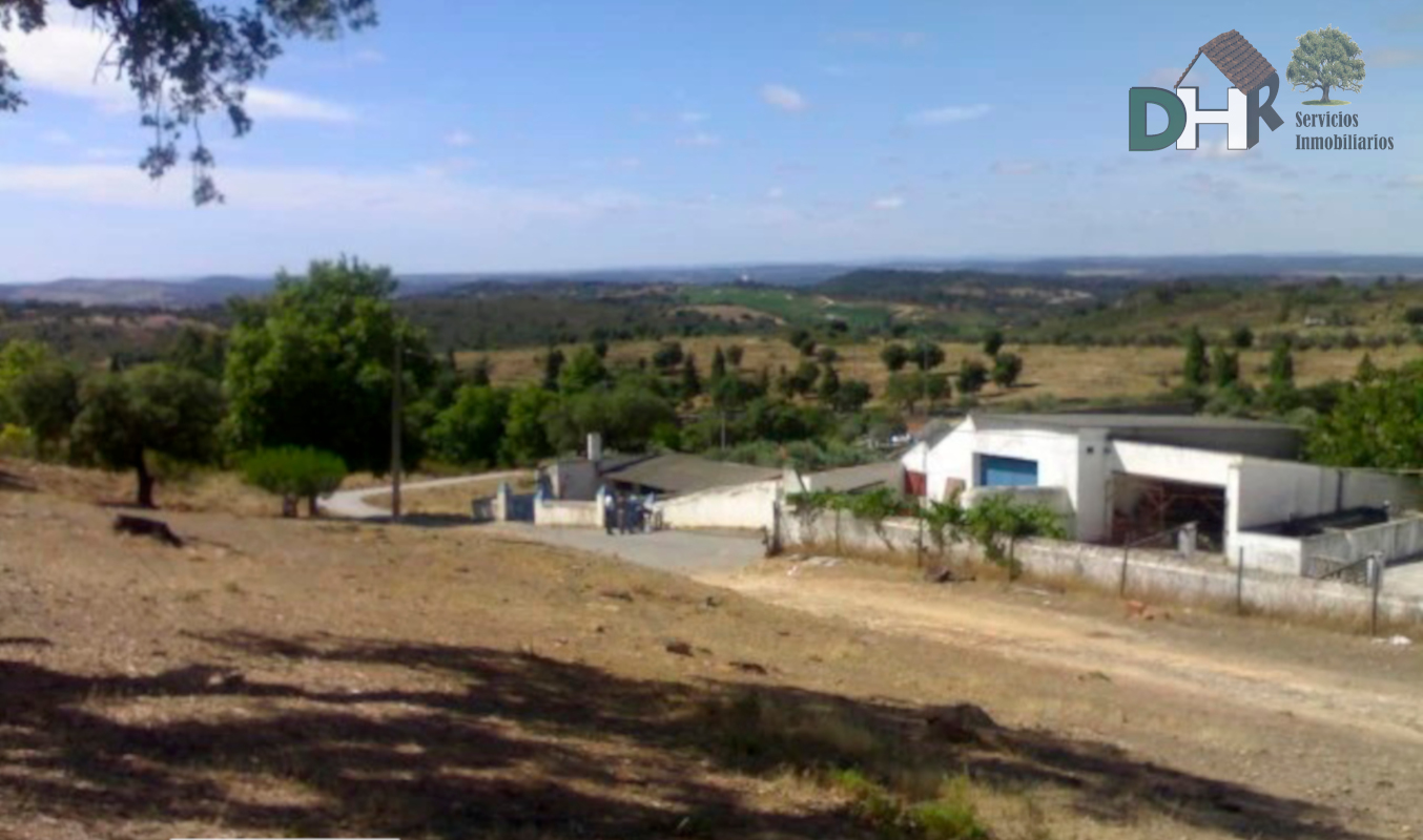 For sale of land in Elvas