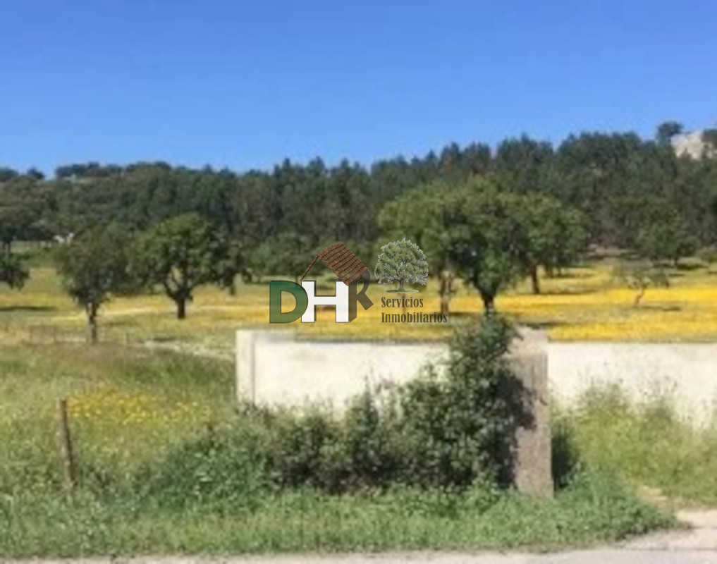 For sale of land in Elvas