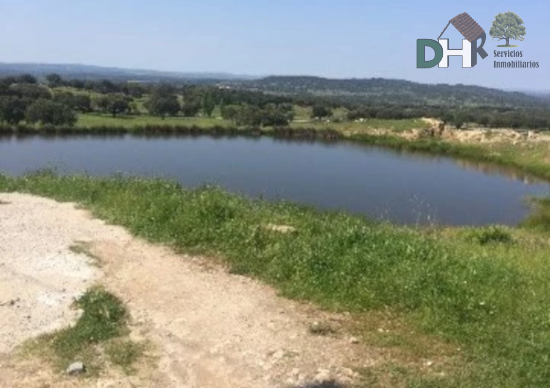 For sale of land in Elvas