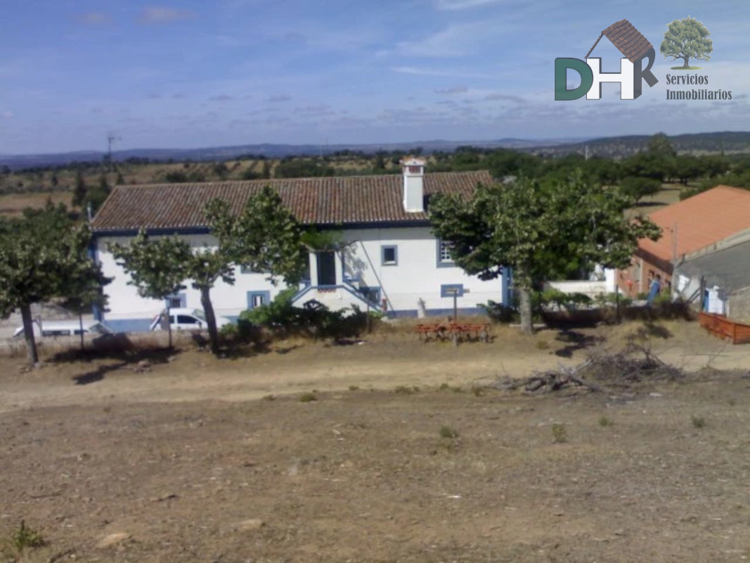 For sale of land in Elvas