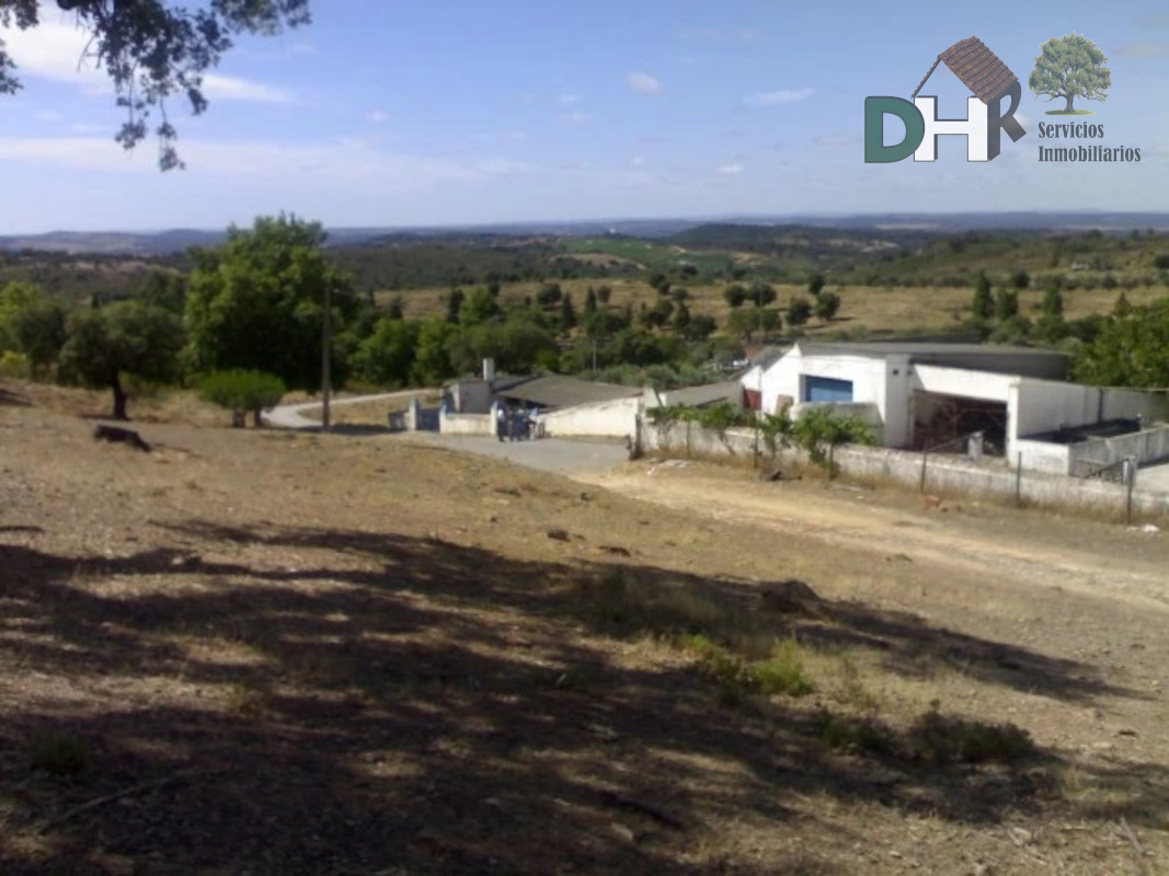 For sale of land in Elvas