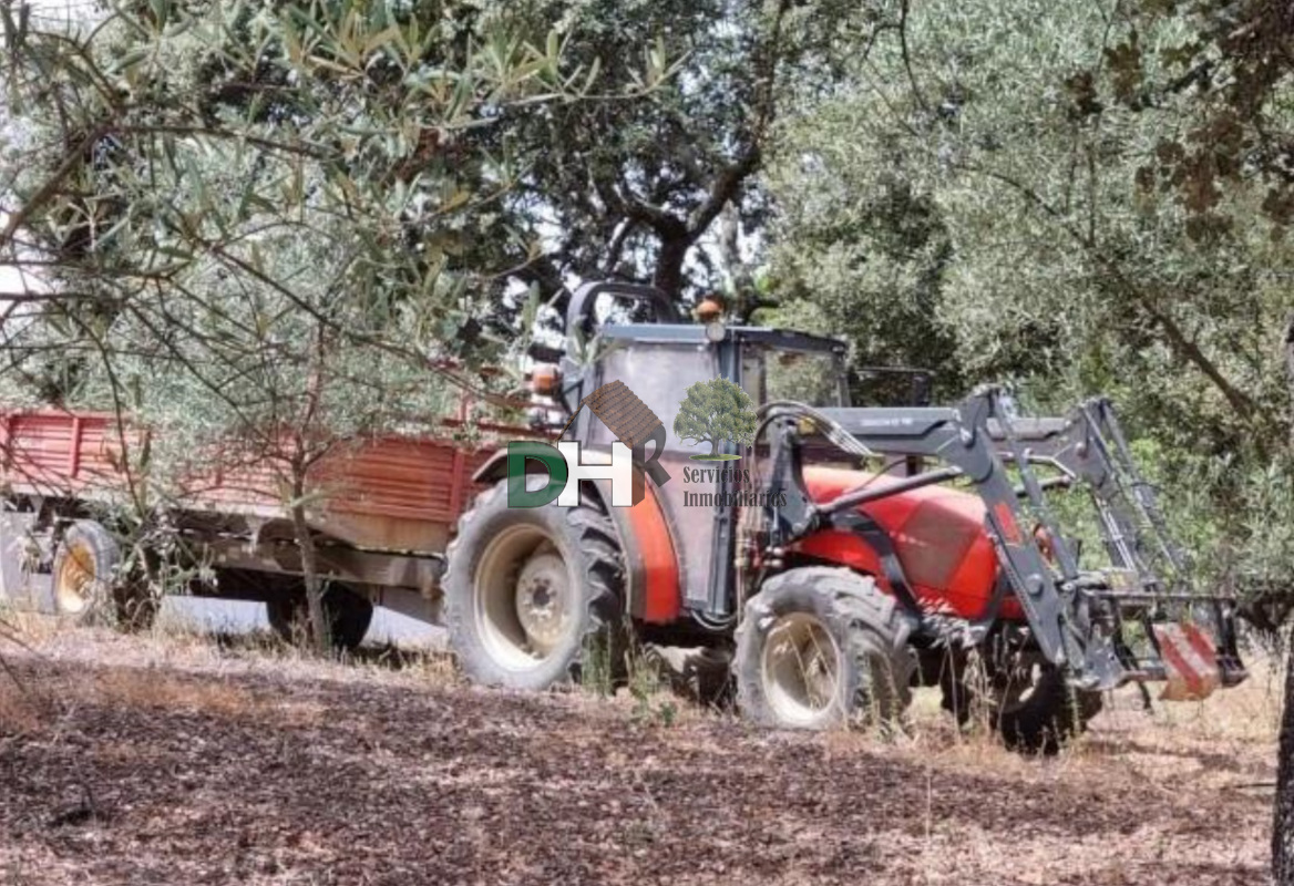 Venta de terreno en Elvas