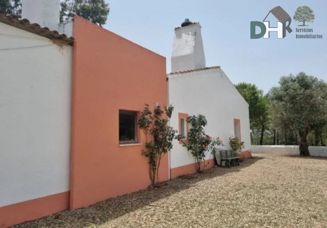 For sale of land in Elvas