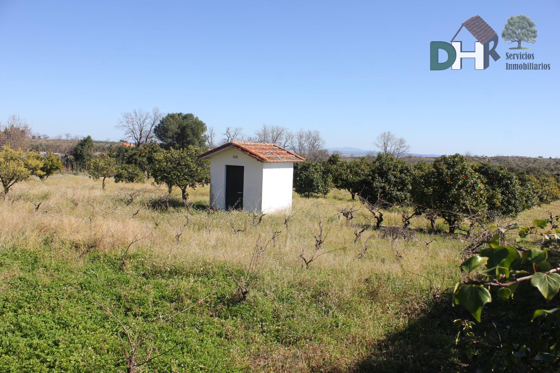 For sale of house in Cáceres