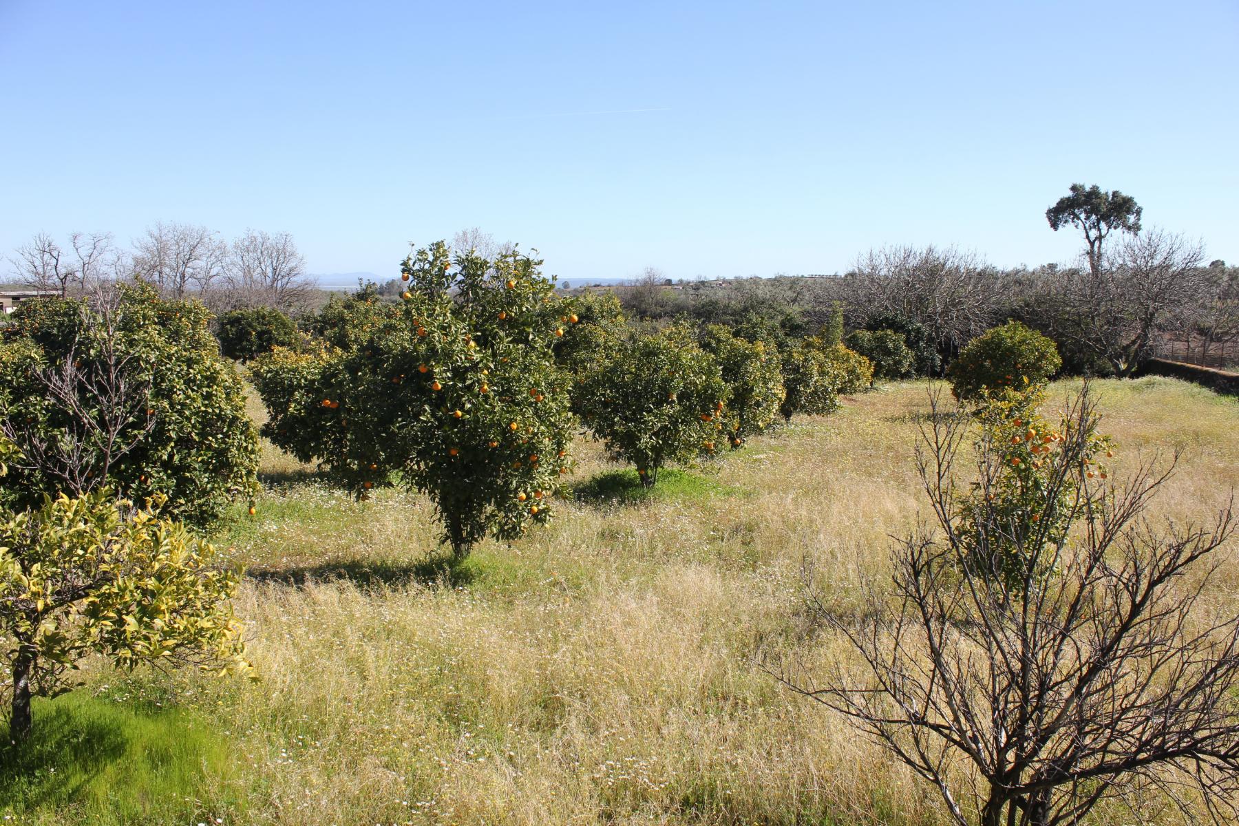 Venta de casa en Cáceres