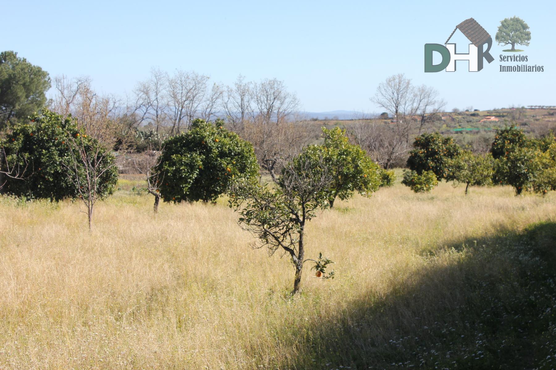 Venta de casa en Cáceres