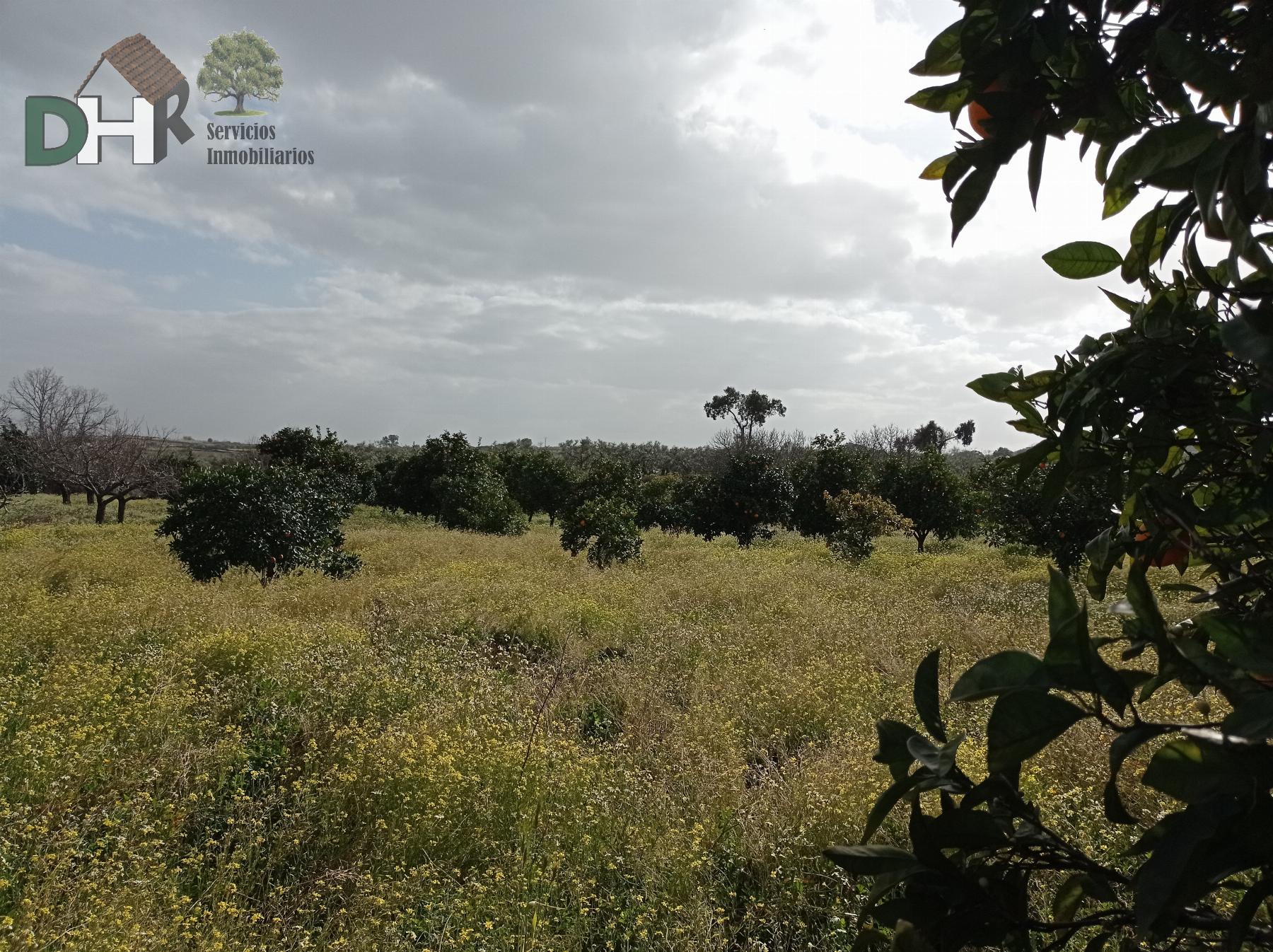 Venta de casa en Cáceres