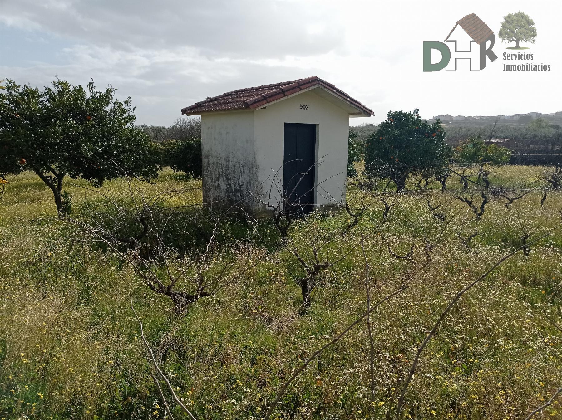 Venta de casa en Cáceres